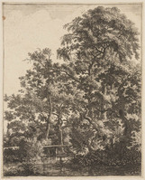 TvB G 3429
<br/>
Een smalle brug over een riviertje
<br/>
<em>Waterloo, Anthonie, (1609-1690)</em>